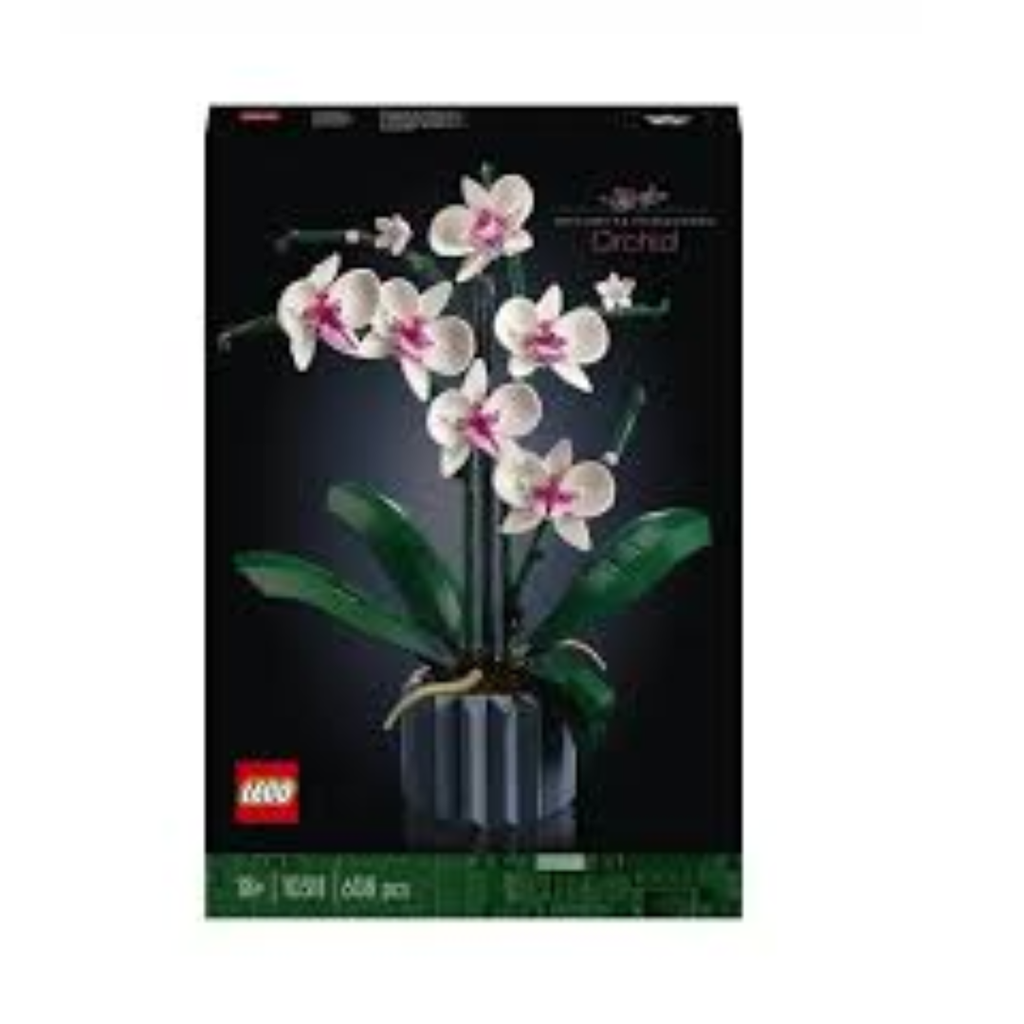 L’ORCHIDÉE 10311