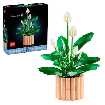 LEGO Botanicals Les Fleurs de Lune 11504